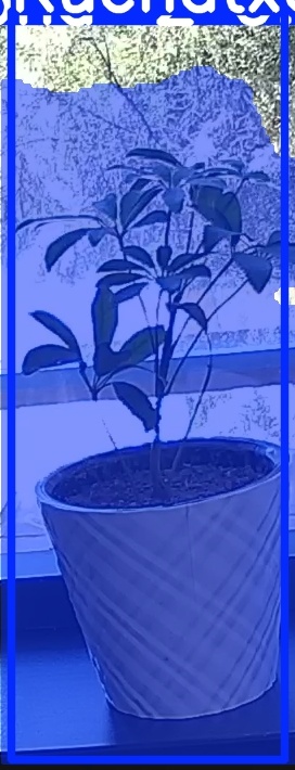 TREE-000011_20260623_121347.jpg