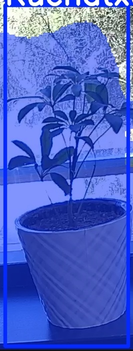 TREE-000011_20260623_121502.jpg