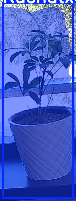 TREE-000011_20260623_121920.jpg