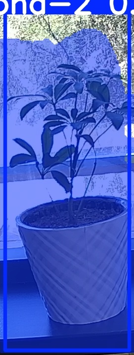 TREE-000011_20260623_122033.jpg