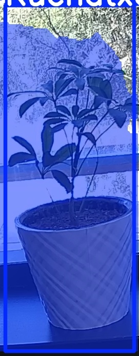 TREE-000011_20260623_122147.jpg
