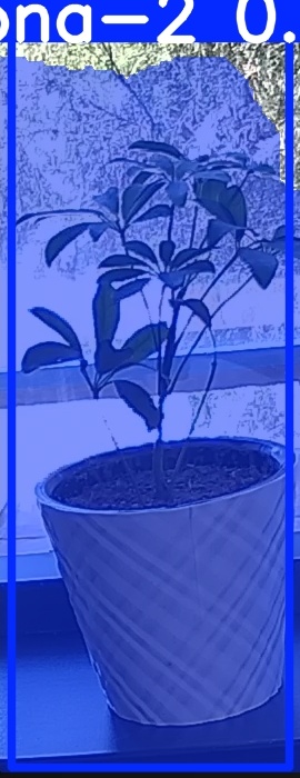 TREE-000011_20260623_122257.jpg