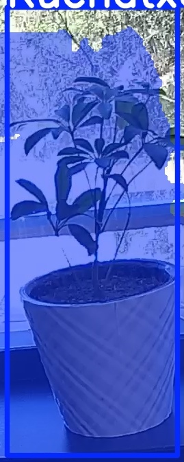 TREE-000011_20260623_122407.jpg
