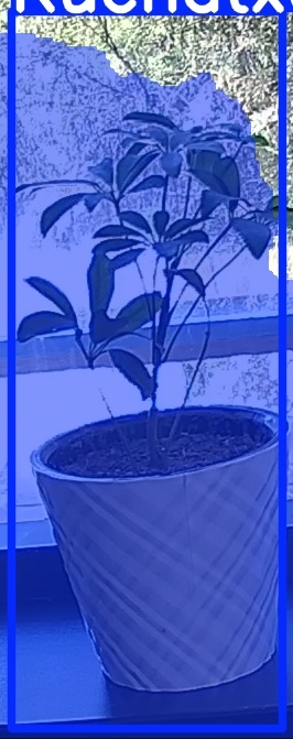 TREE-000011_20260623_122518.jpg