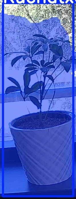TREE-000011_20260623_122631.jpg