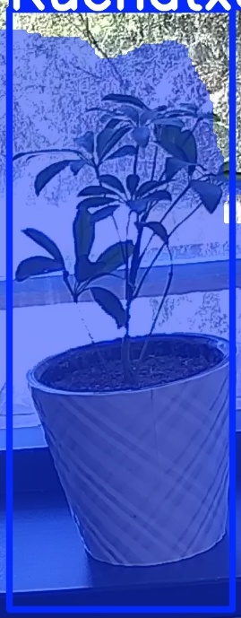 TREE-000011_20260623_122742.jpg