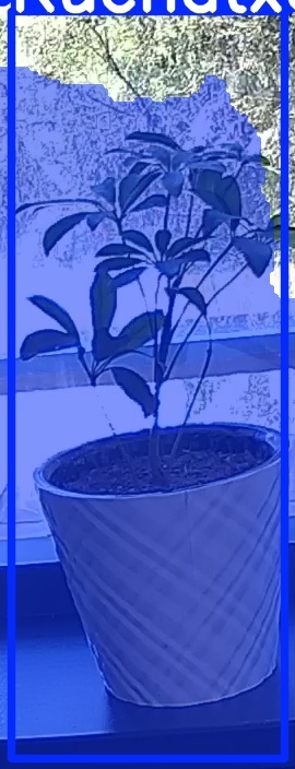 TREE-000011_20260623_122853.jpg