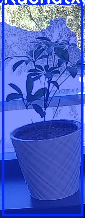TREE-000011_20260623_123002.jpg