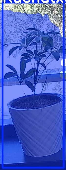 TREE-000011_20260623_123121.jpg