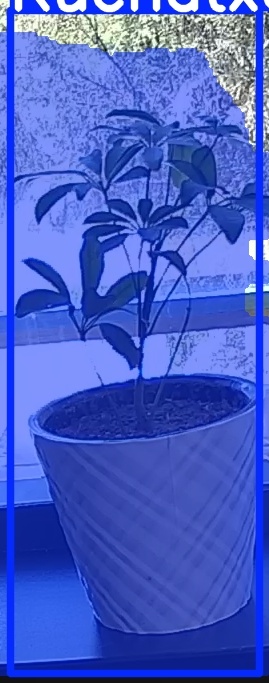 TREE-000011_20260623_123131.jpg