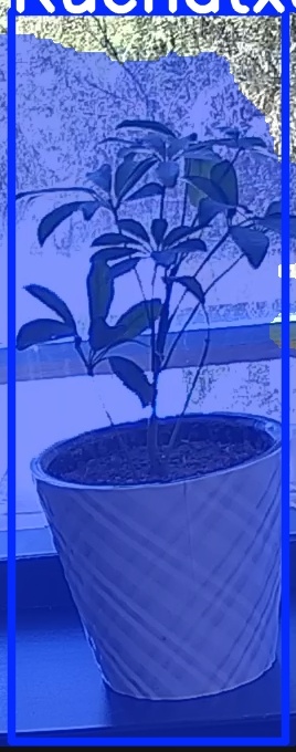 TREE-000011_20260623_123149.jpg
