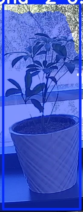 TREE-000011_20260623_123240.jpg