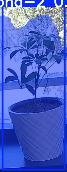 TREE-000011_20260623_123357.jpg