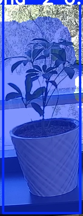 TREE-000011_20260623_123506.jpg