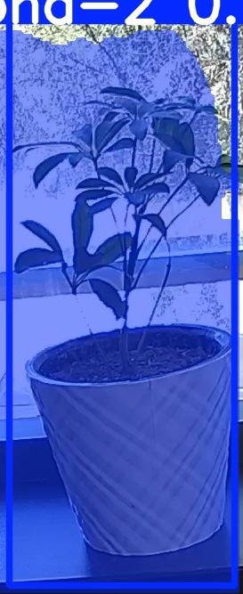 TREE-000011_20260623_123727.jpg