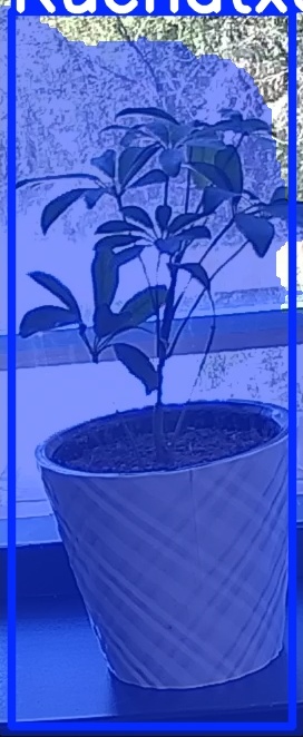TREE-000011_20260623_123835.jpg