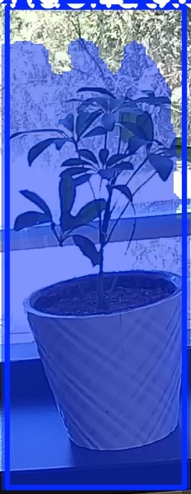 TREE-000011_20260623_123945.jpg