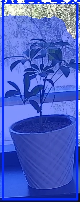 TREE-000011_20260623_124052.jpg