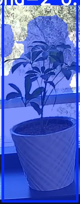 TREE-000011_20260623_124159.jpg