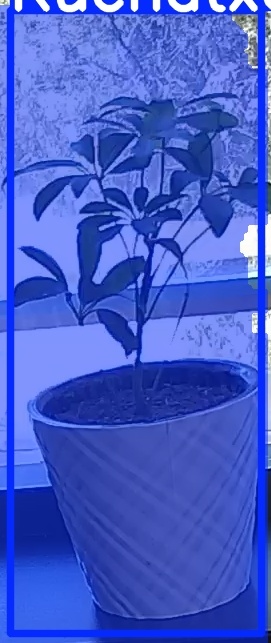 TREE-000011_20260623_124526.jpg