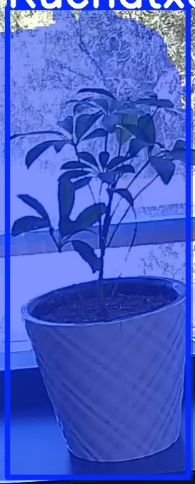 TREE-000011_20260623_124704.jpg