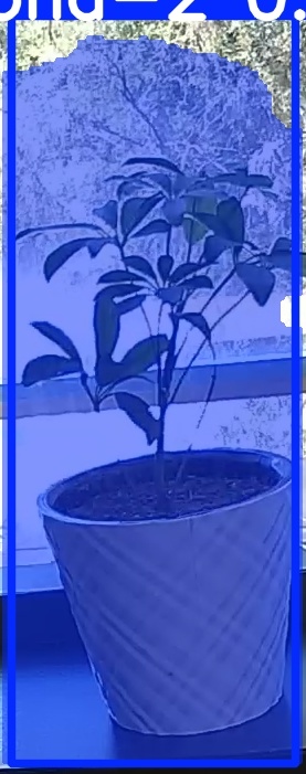 TREE-000011_20260623_124718.jpg