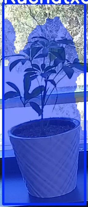 TREE-000011_20260623_124753.jpg