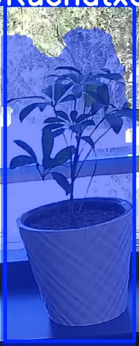 TREE-000011_20260623_124900.jpg