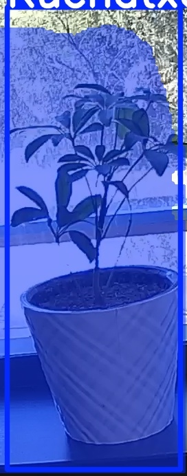 TREE-000011_20260623_125153.jpg