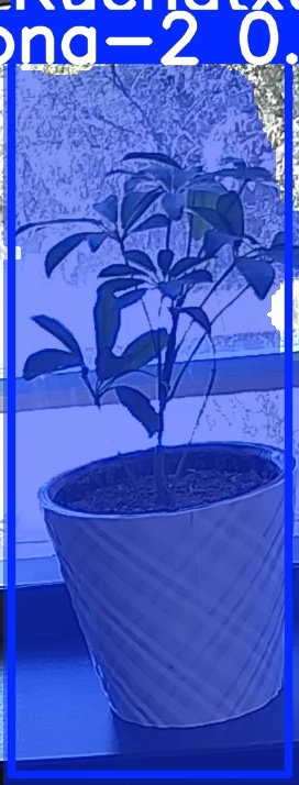 TREE-000011_20260623_125306.jpg