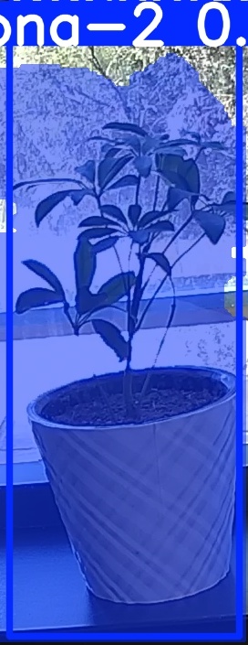 TREE-000011_20260623_125417.jpg