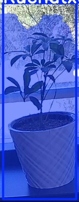 TREE-000011_20260623_125533.jpg