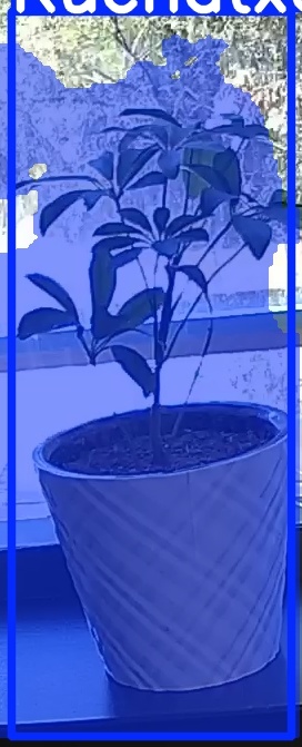 TREE-000011_20260623_125650.jpg