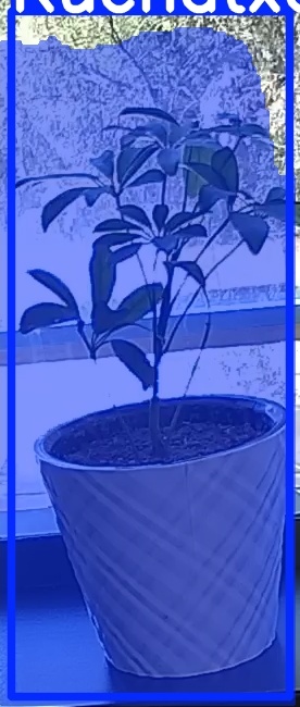 TREE-000011_20260623_125759.jpg