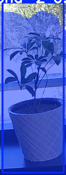 TREE-000011_20260623_125909.jpg