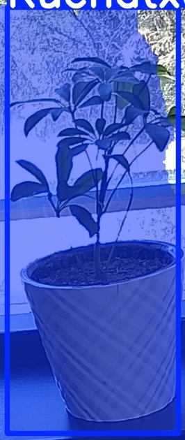 TREE-000011_20260623_130128.jpg