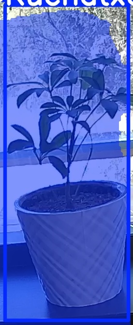 TREE-000011_20260623_130247.jpg