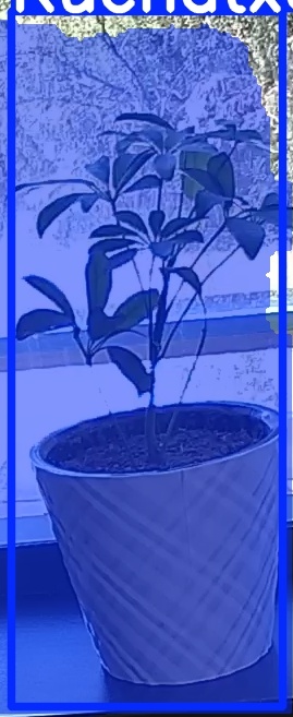 TREE-000011_20260623_130356.jpg