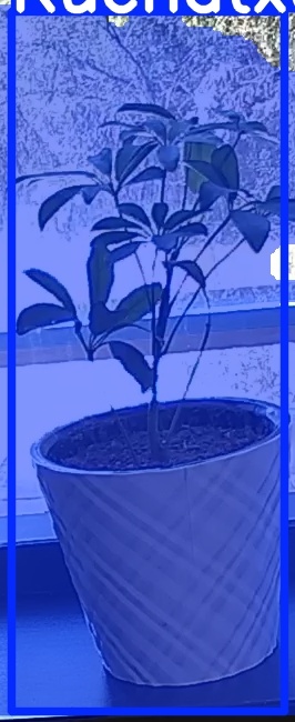 TREE-000011_20260623_130508.jpg