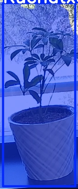 TREE-000011_20260623_130617.jpg