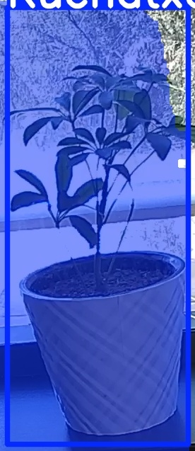 TREE-000011_20260623_130728.jpg