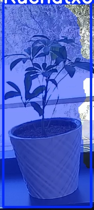 TREE-000011_20260623_130835.jpg