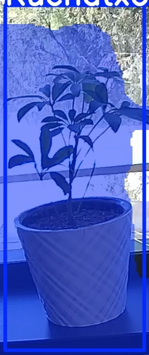 TREE-000011_20260623_130943.jpg