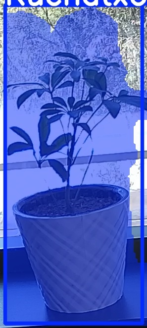 TREE-000011_20260623_131050.jpg