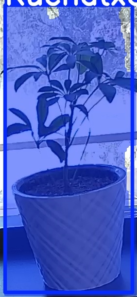 TREE-000011_20260623_131201.jpg