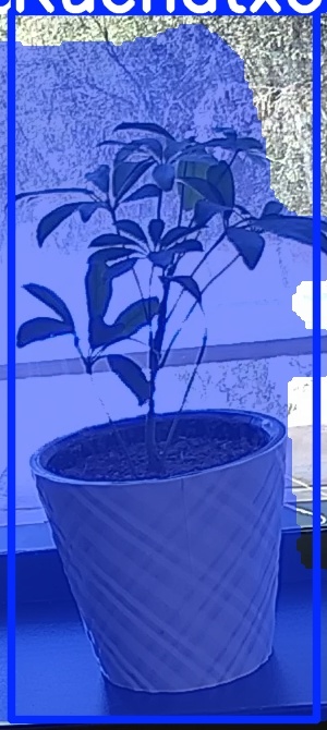 TREE-000011_20260623_131310.jpg