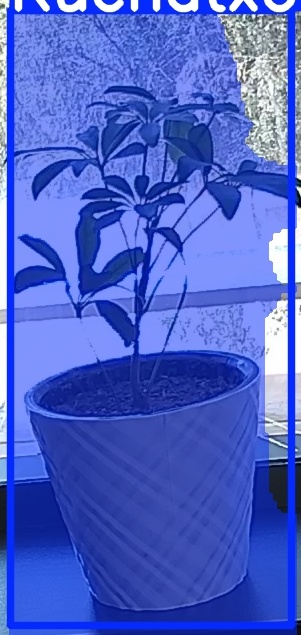TREE-000011_20260623_131421.jpg