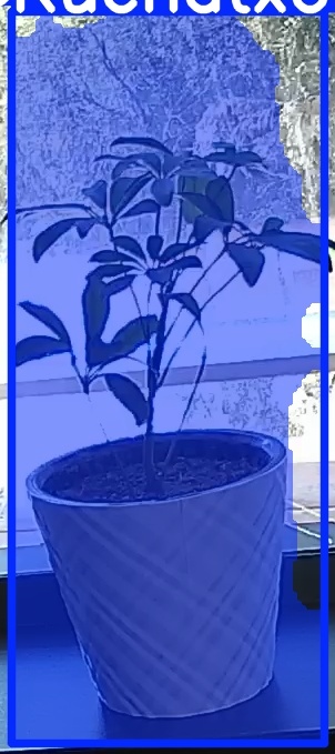 TREE-000011_20260623_131532.jpg