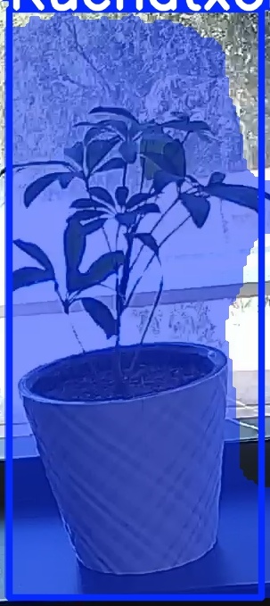 TREE-000011_20260623_131640.jpg
