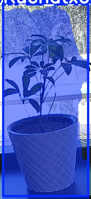 TREE-000011_20260623_131903.jpg